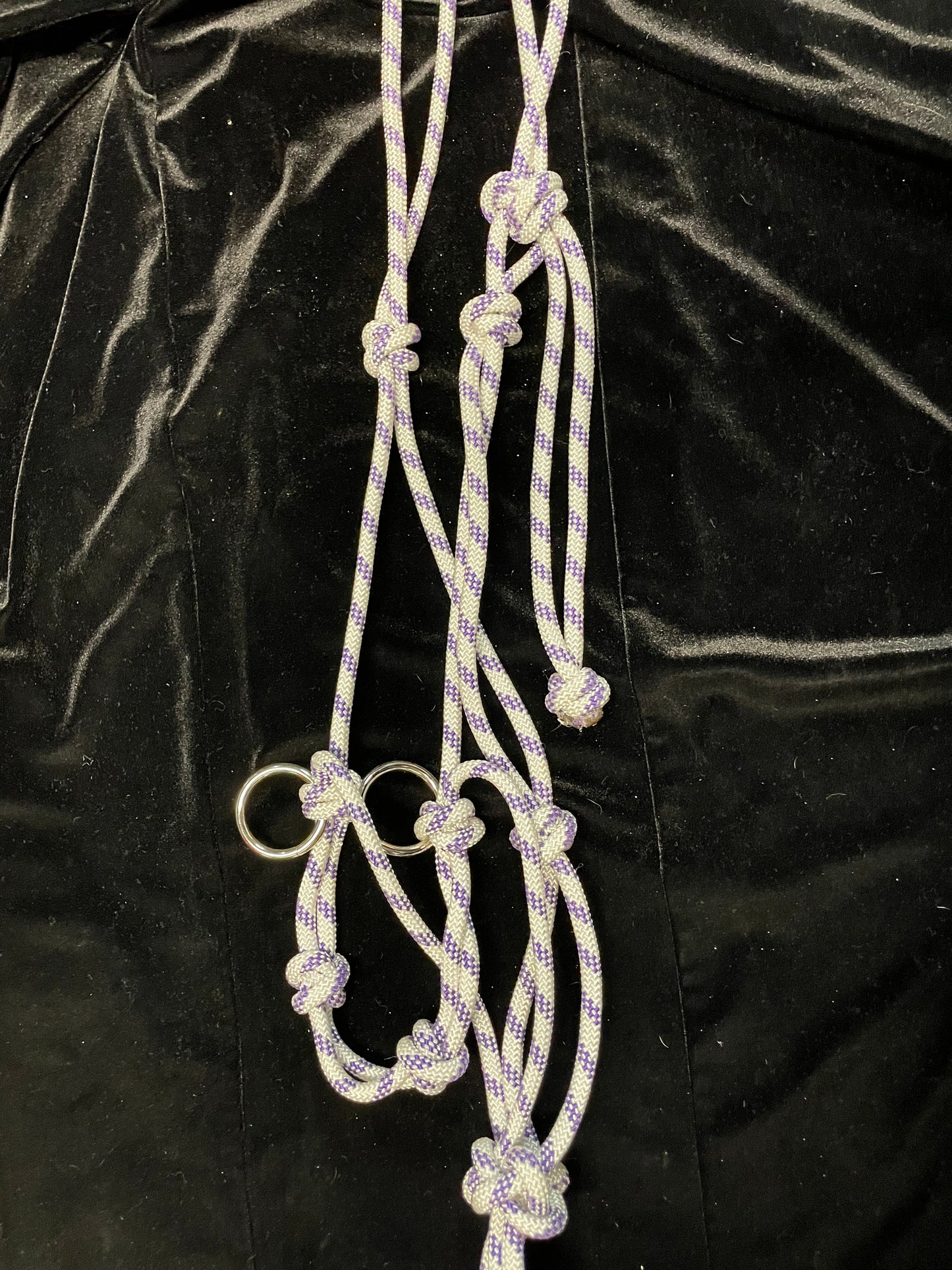 Horse Size Halters